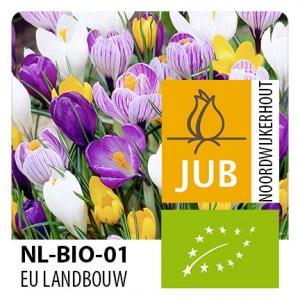 bio jesen 2